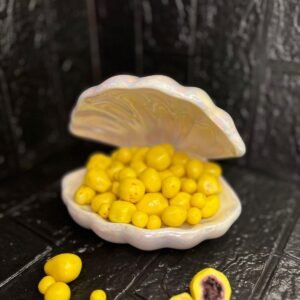 توت اسود مجفف بنكهة تشيز كيك